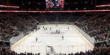 Vegas Golden Knights