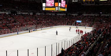 Detroit Red Wings