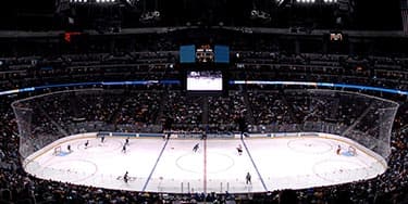 Colorado Avalanche