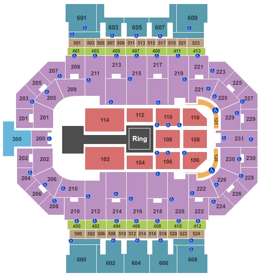 WWE Seating Map Seating Chart